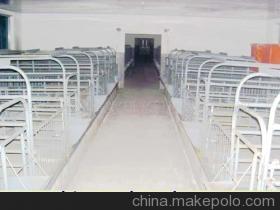 【母猪限喂栏】价格,厂家,图片,畜牧、养殖业机械,青州市农科畜牧研究所种猪场销售部