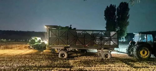 暴雨来临前收割机连夜奋战抢收 北京全市小麦收割完成